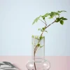 BULAN Glasvas