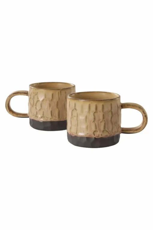 CARA Mugg 2-pack