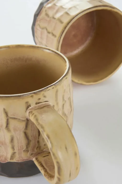 CARA Mugg 2-pack