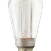 FUTURE LED 3000K Ljuskälla 64 Mm E27