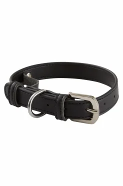INU Hundhalsband/katthalsband