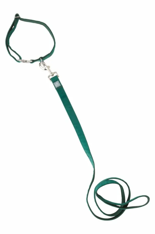 LUCA Koppel Och Hundhalsband