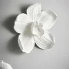 ORCHID Väggdekoration - Stor