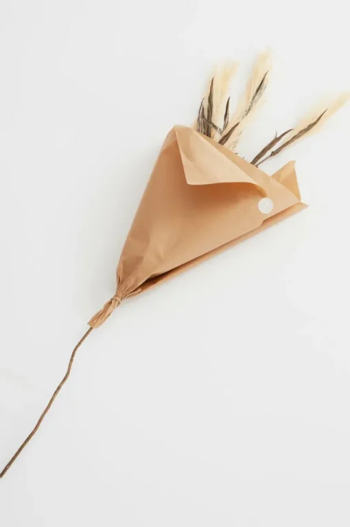 PAMPAS WIND 1 Stjälk